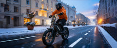 V20-52V20AH Electric Bike for Adults 20" x 4.0, Removable Battery 52V 15/20Ah, 160/190 Km Range, Double Suspension Electric Bicycle, 7 Speed Ebike