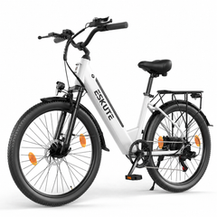 C100 Plus Ebike – 100 km Range, 250W Motor, Shimano 7-Speed