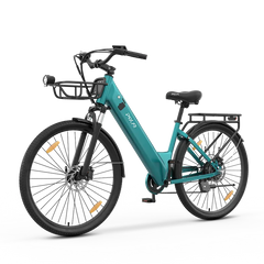 C1 Pro Electric Bike 25km/h