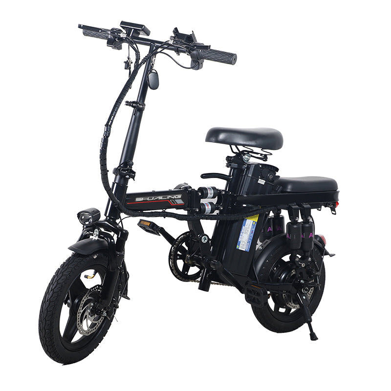 A10 14-inch Electric Bike| 800W | 48V 15Ah