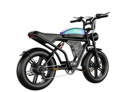 F30 Mountain electric vehicle  | 1500W | 48V 20AH | 65miles | 32MPH