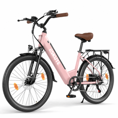 C100 Plus Ebike – 100 km Range, 250W Motor, Shimano 7-Speed