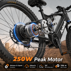XT90  E-bike – 250W Motor, 100 km Range, Shimano 21-Speed