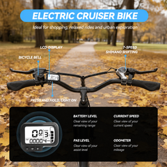 C100 Plus Ebike – 100 km Range, 250W Motor, Shimano 7-Speed