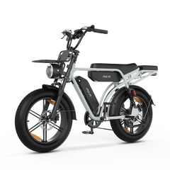 M9 Retro Electric Bike 25km/h
