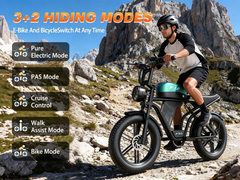 F30 Mountain electric vehicle  | 1500W | 48V 20AH | 65miles | 32MPH