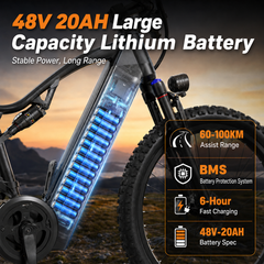 XT90  E-bike – 250W Motor, 100 km Range, Shimano 21-Speed