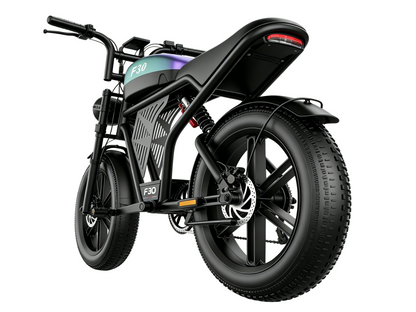 F30 Mountain electric vehicle  | 1500W | 48V 20AH | 65miles | 32MPH
