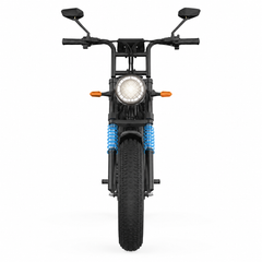 X5 Electric Fat Bike  48V 15Ah Battery  All-Terrain Tires  Long Range