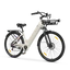 C1 Electric Bike 25km/h