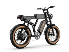 T2 | Off-road e-bike | Motor 500W | 62miles |28mph