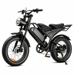 DK400 Pro Fat Tire E-Bike – 250W  48V 18.2Ah   20"×4.0"   Full Suspension