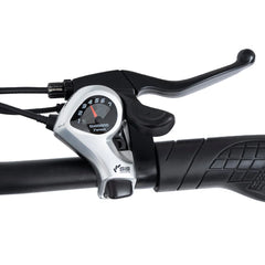 Bodywel A26 City Commute EBike