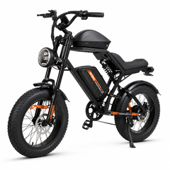 FXH-002 Electric Bike 48V 15.6Ah Fat Tire E-Bike, 25 km/h, 500W Brushless Hub Motor