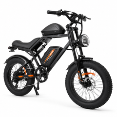 FXH-002 Electric Bike 48V 15.6Ah Fat Tire E-Bike, 25 km/h, 500W Brushless Hub Motor