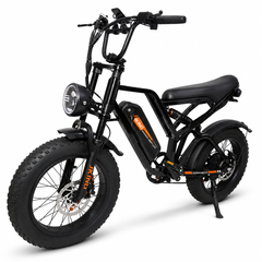 FXH009 Ebike 48V 15.6Ah Fat Tire E-Bike, 500W Brushless Hub Motor, 25 km/h