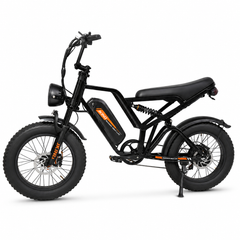 FXH009 Ebike 48V 15.6Ah Fat Tire E-Bike, 500W Brushless Hub Motor, 25 km/h