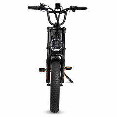 FXH009 Ebike 48V 15.6Ah Fat Tire E-Bike, 500W Brushless Hub Motor, 25 km/h