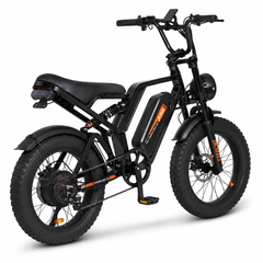 FXH009 Ebike 48V 15.6Ah Fat Tire E-Bike, 500W Brushless Hub Motor, 25 km/h
