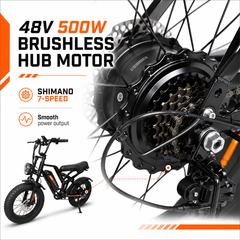 FXH009 Ebike 48V 15.6Ah Fat Tire E-Bike, 500W Brushless Hub Motor, 25 km/h