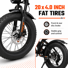 FXH009 Ebike 48V 15.6Ah Fat Tire E-Bike, 500W Brushless Hub Motor, 25 km/h