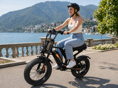 FXH009 Ebike 48V 15.6Ah Fat Tire E-Bike, 500W Brushless Hub Motor, 25 km/h