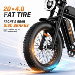 T2 48V 15.6Ah Battery, 500W Motor, Shimano 7-Speed, 45KM/H