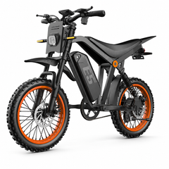E5 14" Electric Bike, 48V 20Ah Removable Battery, 250W Motor, Shimano 7-Speed