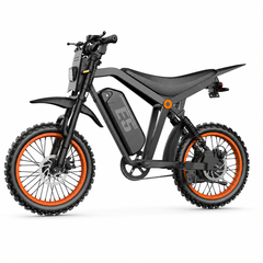 E5 14" Electric Bike, 48V 20Ah Removable Battery, 250W Motor, Shimano 7-Speed