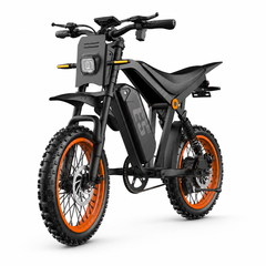 E5 14" Electric Bike, 48V 20Ah Removable Battery, 250W Motor, Shimano 7-Speed
