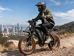 E5 14" Electric Bike, 48V 20Ah Removable Battery, 250W Motor, Shimano 7-Speed