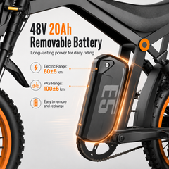 E5 14" Electric Bike, 48V 20Ah Removable Battery, 250W Motor, Shimano 7-Speed