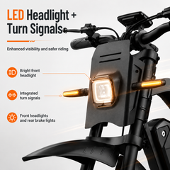 E5 14" Electric Bike, 48V 20Ah Removable Battery, 250W Motor, Shimano 7-Speed