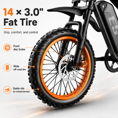 E5 14" Electric Bike, 48V 20Ah Removable Battery, 250W Motor, Shimano 7-Speed
