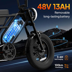 T16 16" Electric Bike, 500W Motor, 48V 13Ah Battery, 7-Speed