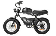 PIXAR SuperV 20" Off-Road Electric Bike 500W Motor 48V 30Ah Battery