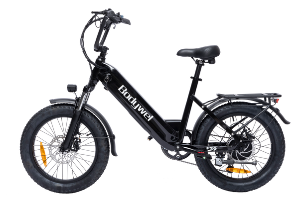 Bodywel F20 E-Bike Adulto 48V 15Ah Batteria 250W Motore 25 km/h