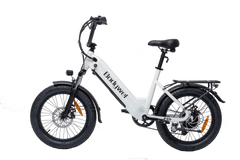 Bodywel F20 E-Bike Adulto 48V 15Ah Batteria 250W Motore 25 km/h