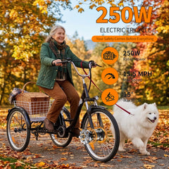 M300 Electric Tricycle – 250W  36V 15Ah  24"×2.125" Tyres