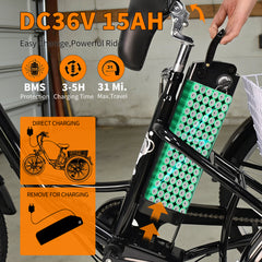 M300 Electric Tricycle – 250W  36V 15Ah  24"×2.125" Tyres