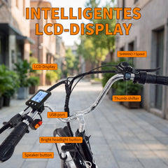 M300 Electric Tricycle – 250W  36V 15Ah  24"×2.125" Tyres