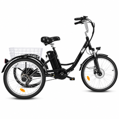 M300 Electric Tricycle – 250W  36V 15Ah  24"×2.125" Tyres