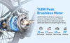 GT900-26 with A 36V 10/13AH Battery, 26/24-inch Adult Electric Bike