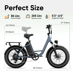 E20 PRO 48V750W High‑Carbon Steel Electric Bike 20*4.0 Fat Tire 45km/h Max Speed