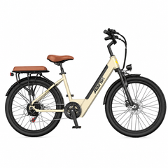 S600 E-bike – 250W Motor, 13Ah Battery, 100 km Range, Shimano 7-Speed