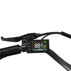 C1 Electric Bike 25km/h
