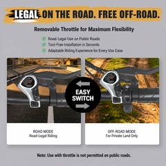 V202 All-Terrain E-Bike – 80 km Range, 25 km/h, Dual Suspension, Removable Throttle