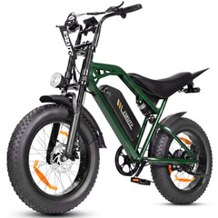 V202 All-Terrain E-Bike – 80 km Range, 25 km/h, Dual Suspension, Removable Throttle