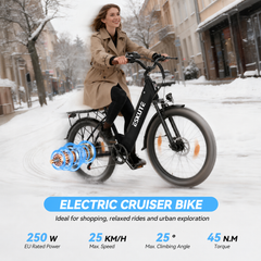 C100 Plus Ebike – 100 km Range, 250W Motor, Shimano 7-Speed
