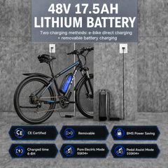 E8 Electric Mountain Bike – 750W Motor, 48V 17.5Ah Removable Battery, 29" E-MTB